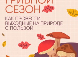 Судя по прогнозам синоптиков, нас ждут теплые выходные!