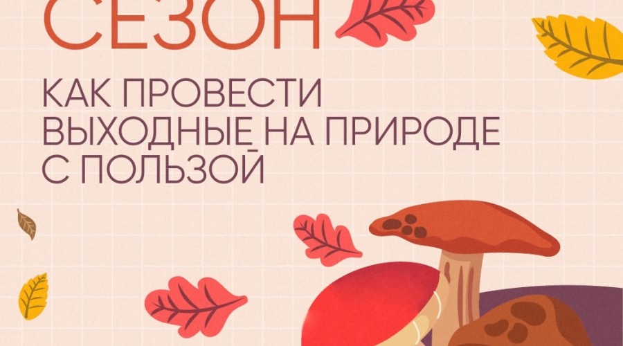 Судя по прогнозам синоптиков, нас ждут теплые выходные!