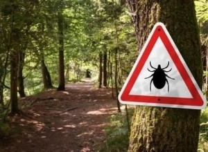 Число пострадавших от укусов клещей в Заречном снизилось до 23 за неделю