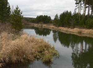 По данным Росгидромета Пышма одна из самых грязных рек в стране
