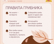 Судя по прогнозам синоптиков, нас ждут теплые выходные!