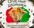 В лесах Свердловской области встречаются ядовитые грибы, опасные для здоровья