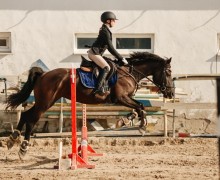 Воспитанницы клуба Добрая лошадь привезли 13 медалей с соревнований!