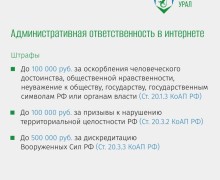 Ответственность за публикации в соцсетях и интернете