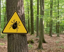 Думаете неделя была холодная?