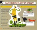 За неделю в Заречном от укусов клещей пострадали 24 человека, среди них четверо детей