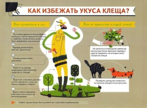 За неделю в Заречном от укусов клещей пострадали 24 человека, среди них четверо детей