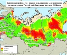 Авиалесоохрана разработала прогноз пожарной опасности в лесах России на март-сентябрь 2024 года