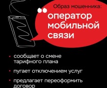 Телефонные мошенники: лучшая защита — сразу завершить разговор