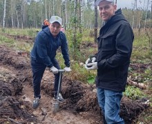 Больше 5 тысяч деревьев высадили в субботу, 6 сентября на территории Заречного