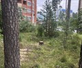 Подрядчики продолжают расчистку города после урагана