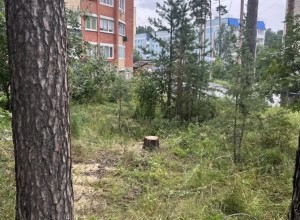 Подрядчики продолжают расчистку города после урагана
