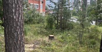 Подрядчики продолжают расчистку города после урагана