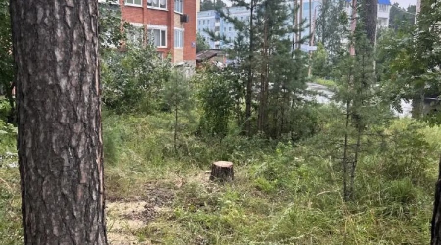Подрядчики продолжают расчистку города после урагана