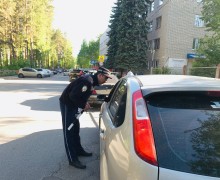 Очередное профилактическое мероприятие «Ребенок-пассажир» проведено сотрудниками Госавтоинспекции вблизи детской поликлиники города Заречного