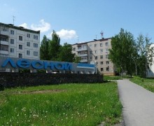 Для города Лесной мастер-план почти готов