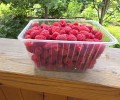 Продам отборную малину