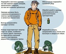 Клещи активизировались!