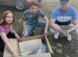 Жители Заречного вновь пришли на помощь больной чайке