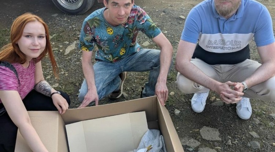 Жители Заречного вновь пришли на помощь больной чайке