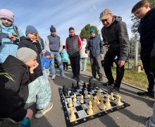 Отличный день для прогулки!