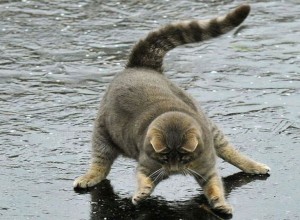 Сегодня ночью и завтра днем местами в Свердловской области ожидаются гололед и очень сильный ветер