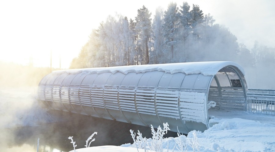 Фотографии, от которых веет холодом