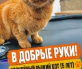 Обращаться к https://vk.ru/id480120936