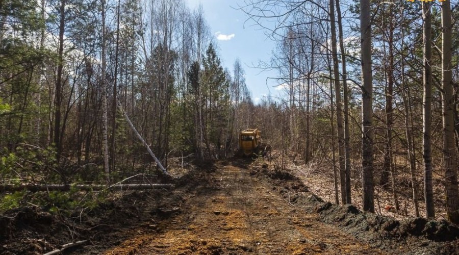 Арендаторы лесных участков Свердловской области готовы к пожароопасному сезону
