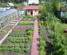Земельный налог повышать не стали, а льготников добавили