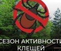 Клещи становятся всё активнее, а провести акарицидную обработку не позволяет погода