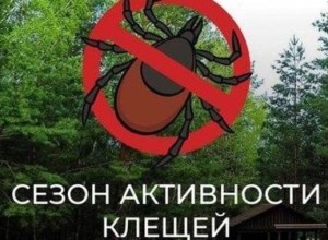 Клещи становятся всё активнее, а провести акарицидную обработку не позволяет погода