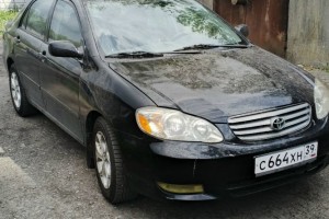 Toyota Corolla, 