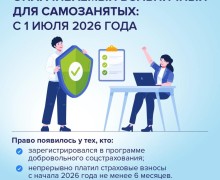 Самозанятые жители Заречного смогут получать оплачиваемый больничный с 2026 года