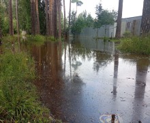 Заречный под водой: как дождливое лето изменило жизнь города и окрестностей