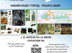 СНОВА РЕШАЕМ, ЧТО БЛАГОУСТРОИТЬ В ЗАРЕЧНОМ!