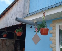 Продам рассаду помидоров, цветы и кашпо