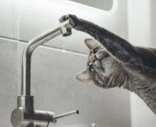 АВАРИЙНОЕ ОТКЛЮЧЕНИЕ холодной воды 04.04.2024