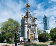 Уральскую столицу украсили распустившиеся тюльпаны