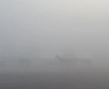 В понедельник Заречный и близлежащие деревни сёла накрыл туман