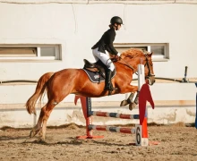 Воспитанницы клуба Добрая лошадь привезли 13 медалей с соревнований!