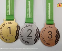 Победители и призеры межрегионального этапа чемпионата «Профессионалы» получат премии