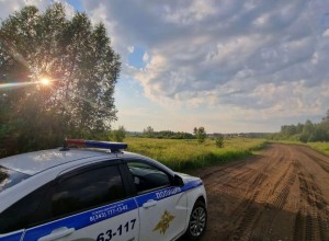 Госавтоинспекция Заречного проведет рейд «Бахус» в предстоящие выходные