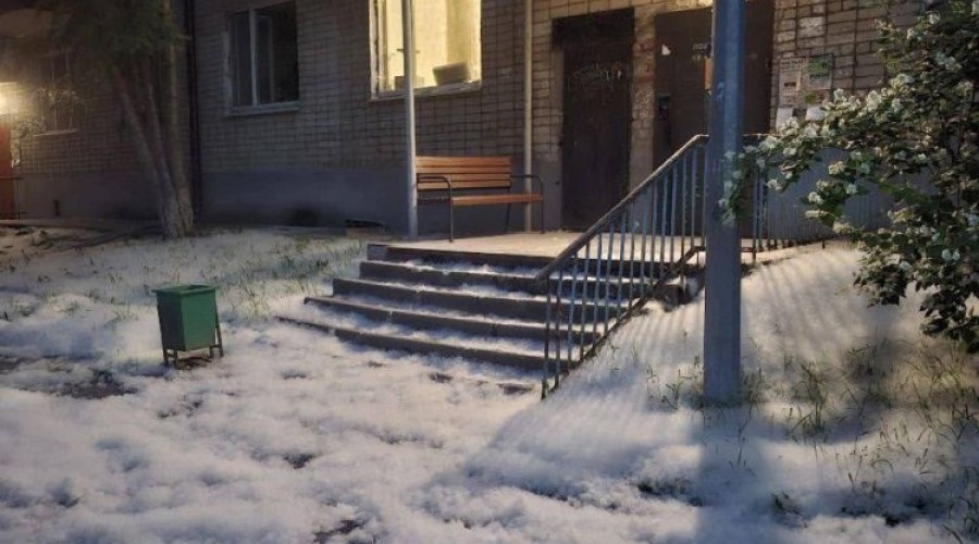 Вам кажется, что в Екатеринбурге многовато тополиного пуха?