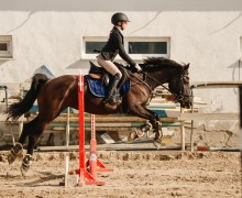 Воспитанницы клуба Добрая лошадь привезли 13 медалей с соревнований!