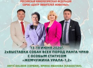 Выставка собак «Жемчужина Урала» пройдёт на стадионе «Электрон» в Заречном