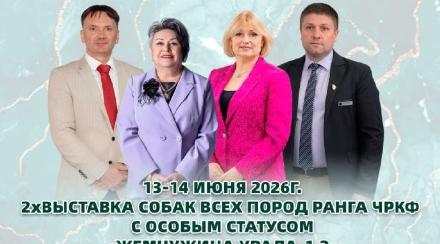 Выставка собак «Жемчужина Урала» пройдёт на стадионе «Электрон» в Заречном
