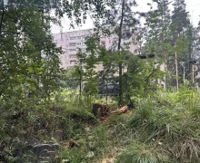 Подрядчики продолжают расчистку города после урагана