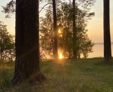 Осенний день в Заречном: город в медовом свете