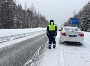 Госавтоинспекция Свердловской области предупреждает: будьте особенно внимательны на дорогах